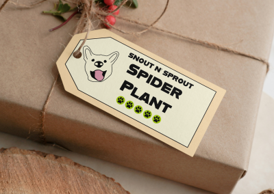 Snouts & Sprouts